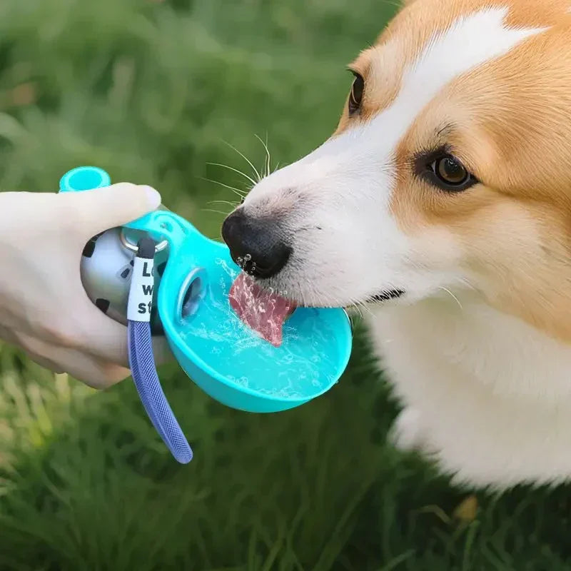 Beat the Heat: Top Summer Pet Essentials for Your Furry Friends