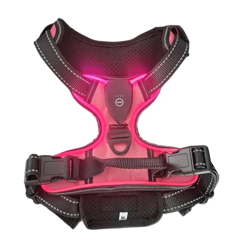 LED Dog Harness