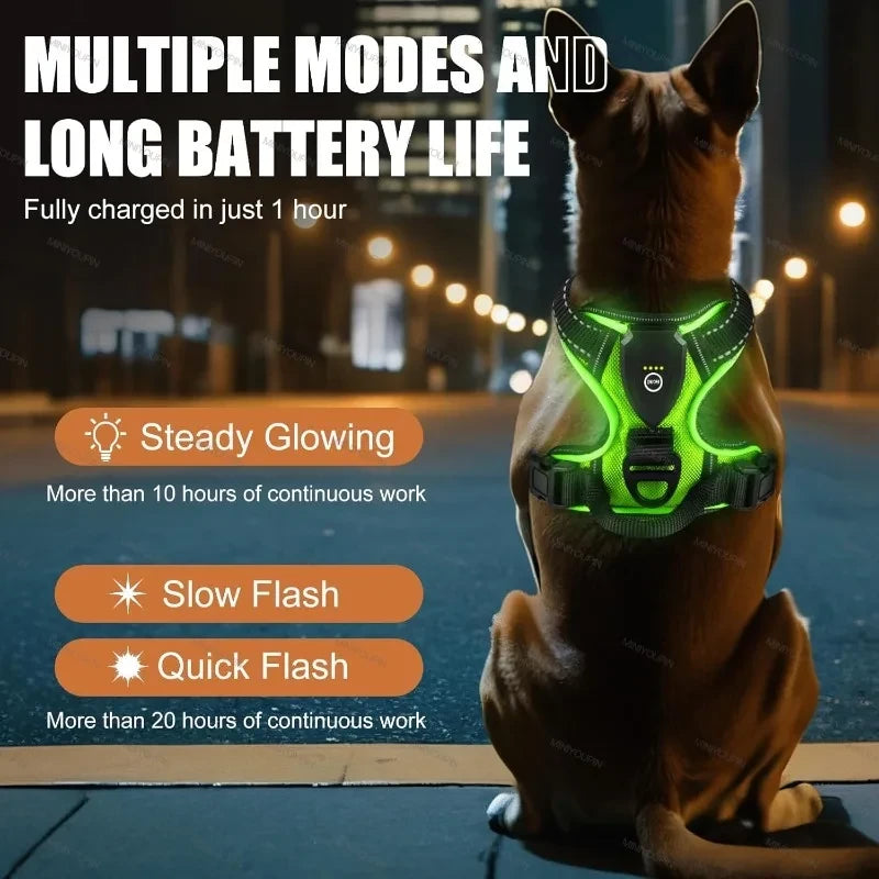 LED Dog Harness