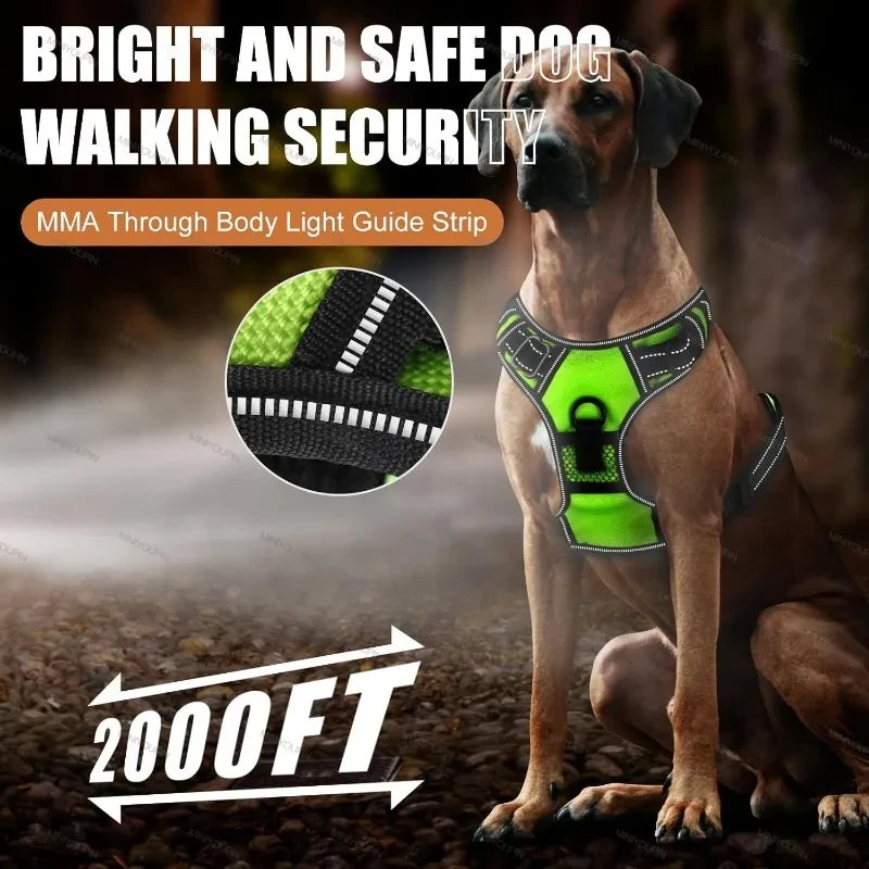 LED Dog Harness
