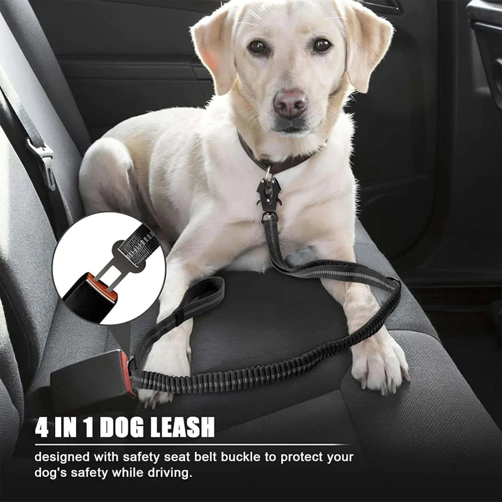 Heavy Duty Bungee Leash