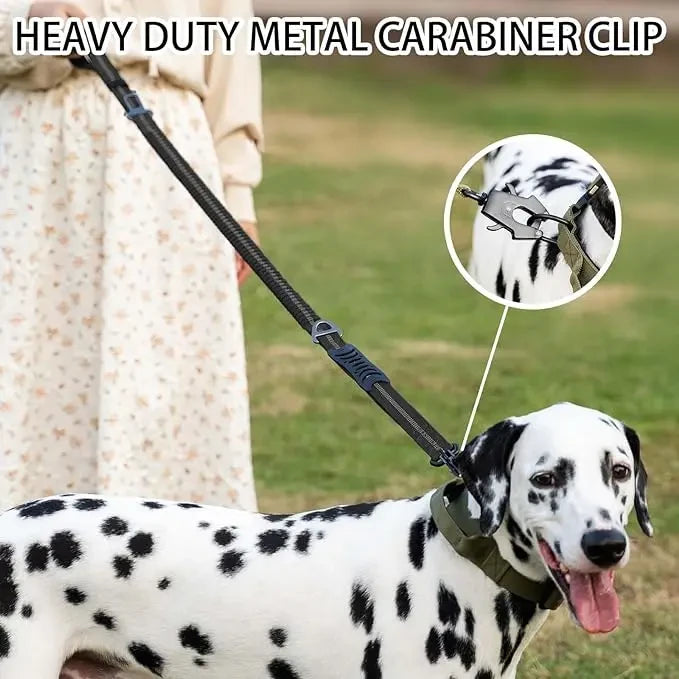 Heavy Duty Bungee Leash