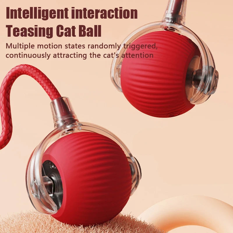 Automatic Rolling Ball with Faux Tail