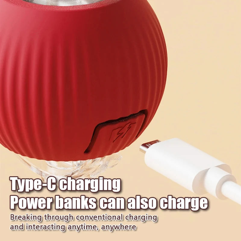 Automatic Rolling Ball with Faux Tail