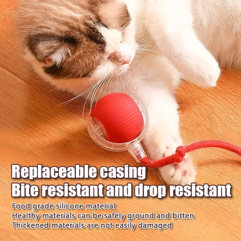 Automatic Rolling Ball with Faux Tail
