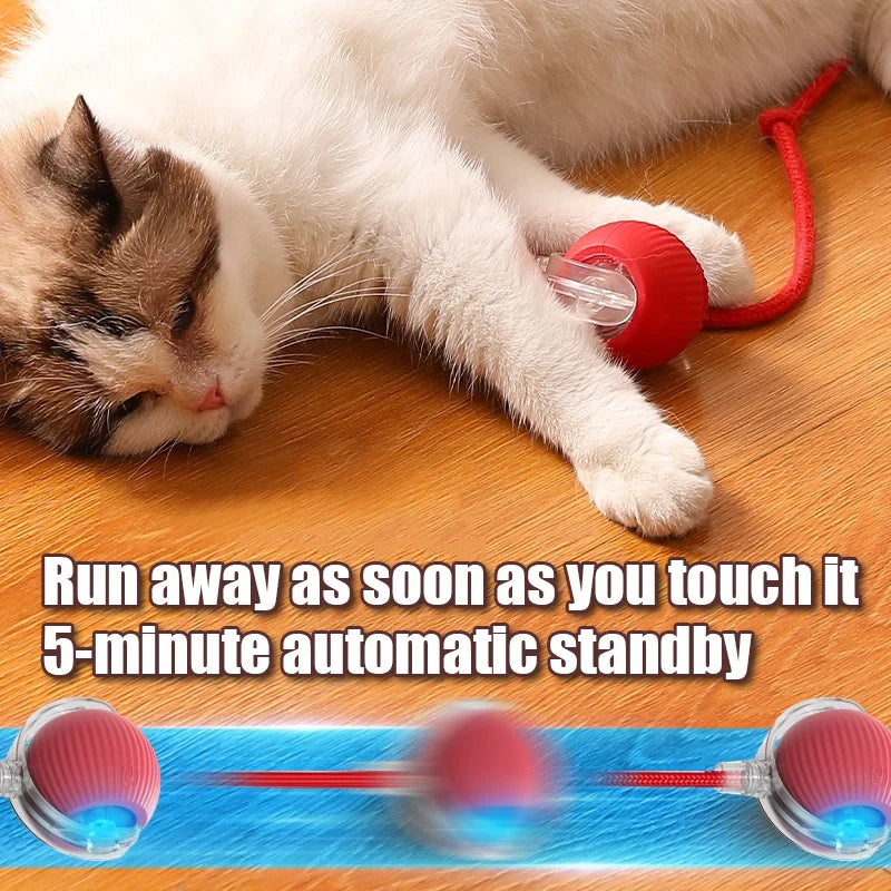 Automatic Rolling Ball with Faux Tail